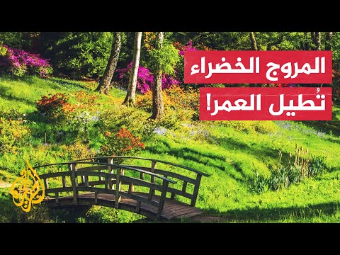 ما العلاقة بين المساحات الخضراء وعمر الإنسان
