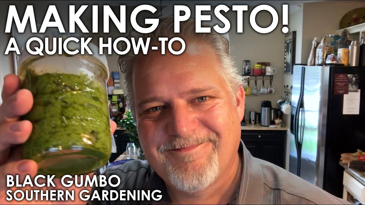 How to Make Fresh Pesto Black Gumbo YouTube