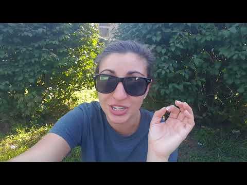 Why is it more dangerous to look at an eclipse?