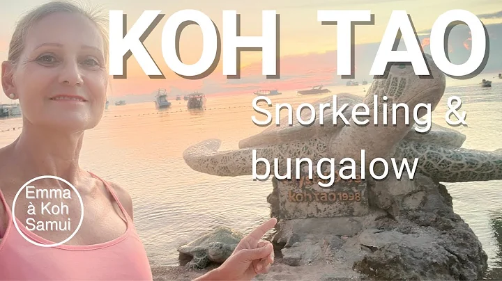 Koh Tao Thailand 2022 - Tourisme, Bungalow, Snorke...
