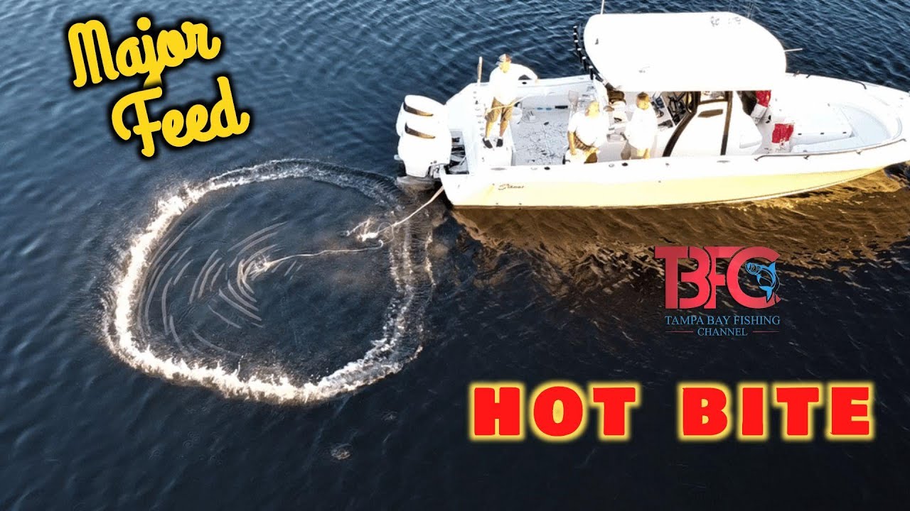 Major Feeding Times In Georgia Major Feeding Times In Georgia