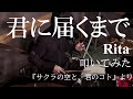 【サクラの空と、君のコト】「君に届くまで」(Rita)叩いてみた/"Kimi ni todoku made" Drum cover