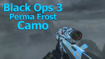 Black ops 2 Plutonium - Permafrost BO3 Custom Camo