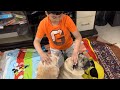 My Cute boy with his pets Micky & Simon - Labrador dog & Pug Dog #pets #CuteKid #pug #labrador