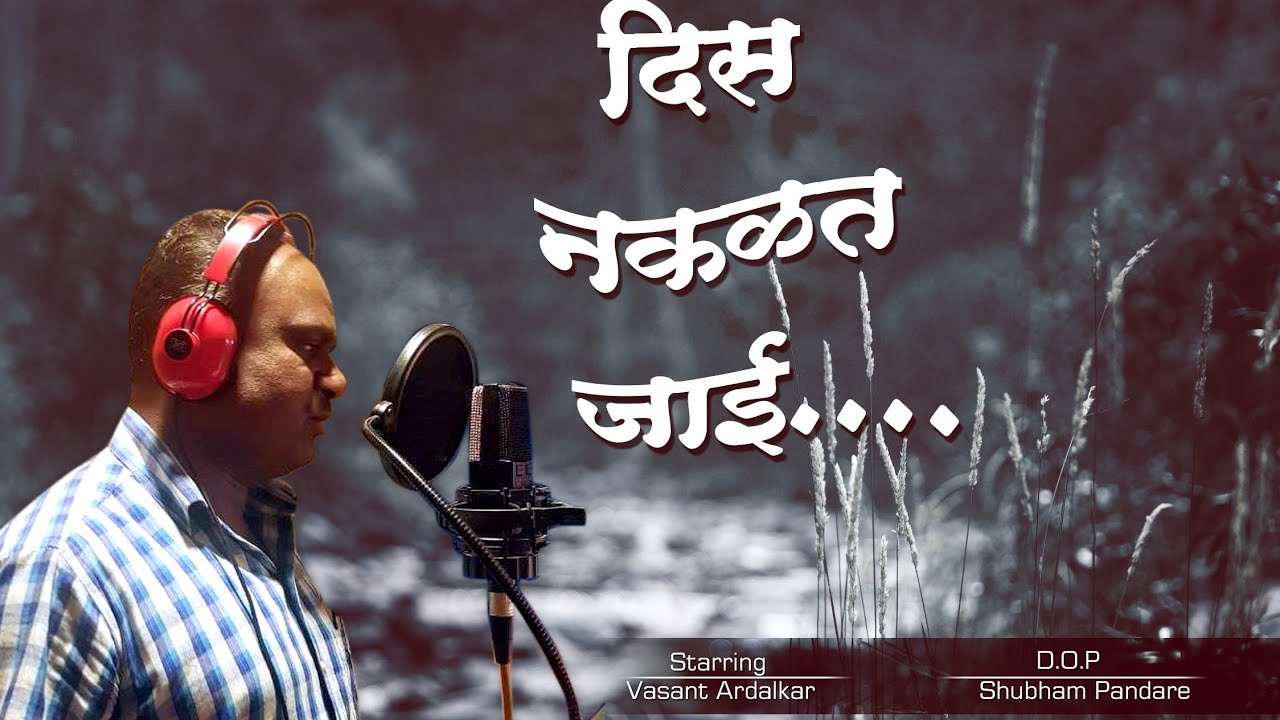 दिस नकळत जाई 