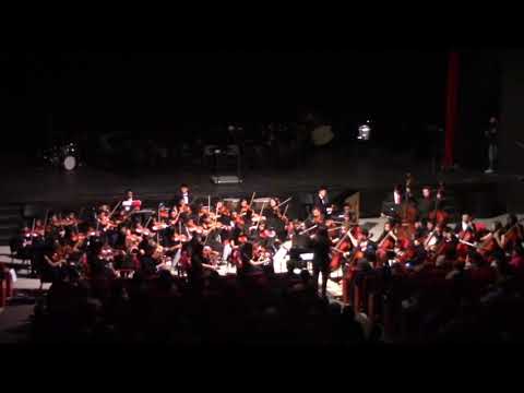 String Orchestra - Themes from The New World Symphony by Antonin Dvorak