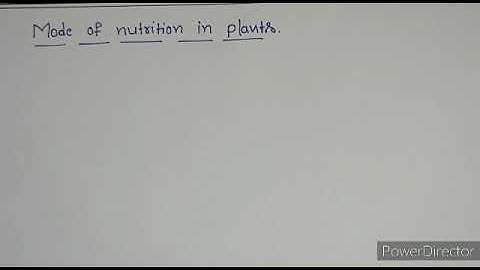 Grade 7 State:Science-Bridge Course