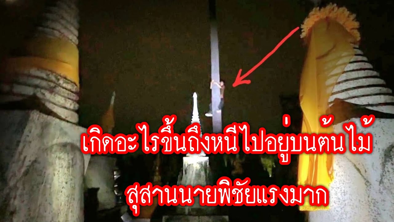 มองลอดหว่างขาเจอเลย สุสานนายพิชัย 07-08-25 #พิสูจน์ศาสตร์ #ผีเล่นผี #ผี #รายการผี #สุสาน 