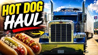 Missouri to Iowa with Peterbilt 389 