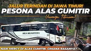 Stunning Gumitir Views‼️ Is It Really the Most Beautiful Route⁉️ Mila Sejahtera Trip Banyuwangi-J... screenshot 4