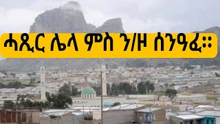 ሓጺር ሌላ ምስ ሰንዓፈ #eritreamovie #eritreamusic #eritreacomedy