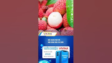 Bắc Giang rực rỡ, rộn ràng mùa vải chín