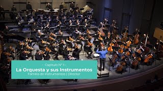 Iniciación Musical | Capítulo 1: La Orquesta y sus instrumentos