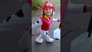 PAW Patrol Lookout Tower!! A glimpse at our youngest pup's birthday over the weekend!