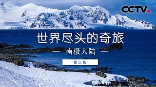 《世界尽头的奇旅》第三集 南极大陆 | CCTV纪录