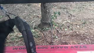 How to Get Fencing Out of a Forestry Mulcher Drum by Clevinger Forest Services, LLC 7,490 views 4 years ago 2 minutes, 40 seconds