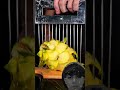 Perfect Yellow Dragon Fruit Cutting 😍 #asmr #satisfying #oddlysatisfying #yellowdragonfruit #slicing