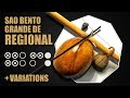 SAO BENTO GRANDE Da REGIONAL With 3 Variations Berimbau Tutorial 