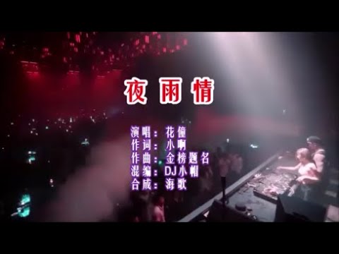 花僮 《夜雨情 （DJ小帽版）》  KTV 导唱字幕 （备有伴奏视频）