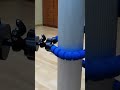 🔥 This $11.99 Octopus Tripod Will Change How You Shoot Videos Forever! 🤯📱