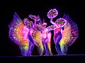 Lightshow led dance butterflies of paradise by arabesque shows  events