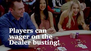 Hot Action Blackjack screenshot 4