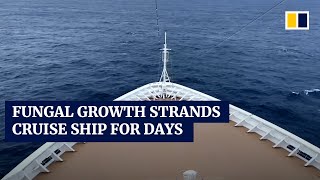 Fungal Growth Strands Cruise Ship For Days Near New Zealand