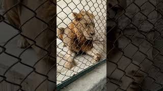 VID 20230107 WA0054
