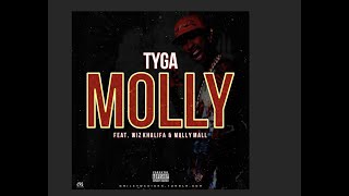 Tyga - Molly ft. Wiz Khalifa (Corey remix)