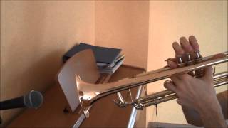 Pendulum - Watercolour (trumpet + piano intro)