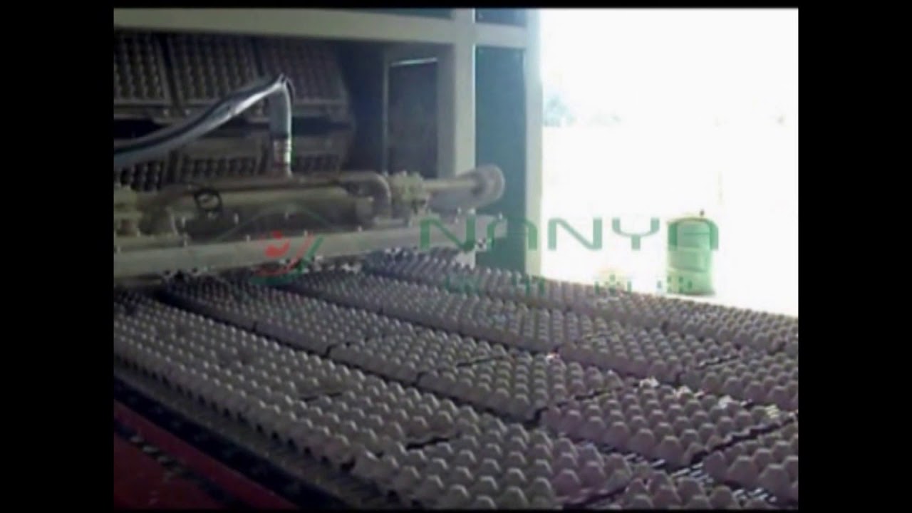 Automatic egg tray machine with 1 layer dryer 4000pcs per hour - YouTube