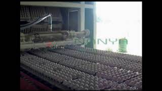 Automatic egg tray machine with 1 layer dryer 4000pcs per hour