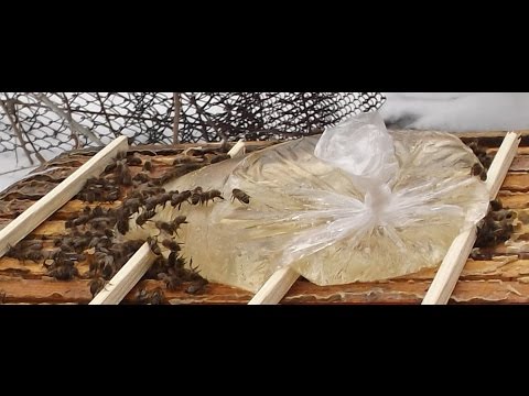 подкормка пчел ( часть 1 ) - YouTube