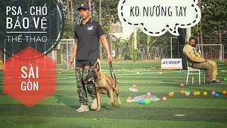 T4: Cuộc Chơi KO Nhân Nhượng  Thí sinh Duy nhất thi Chó Vâng lời PSA 1/ PSA  K9 Sports Dog