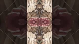 Enserió No Se Que Crabar