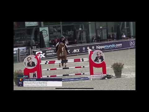 Herkules Poirot Red Wine CSI1* 130 Opglabbeek