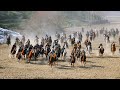 مسابقه بزکشی ولایت تخار ولسوالی خواجه بهاوالدینuzkashi Afghanistan TAKHAR khwaja bahaddin