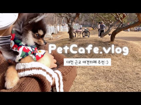 [Vlog] 🇰🇷 곰땅이 최애 카페 💗대전 근교 애견카페 추천 🐶 퍼피스 그린 🌳 | 대전 애견카페 | 계룡 애견카페 | 강아지 소풍 | daejeon korea