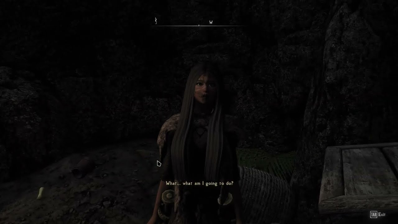 Skyrim Special Edition Silent Moons Camp