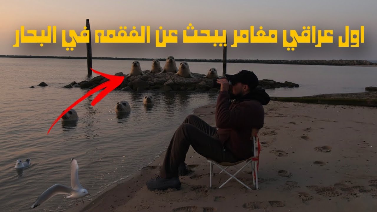 عراقي يسافر ويغامرفي البحث في البحار عن الفقم 🦭