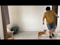 ゆめトラの喧嘩は結構ハードです。