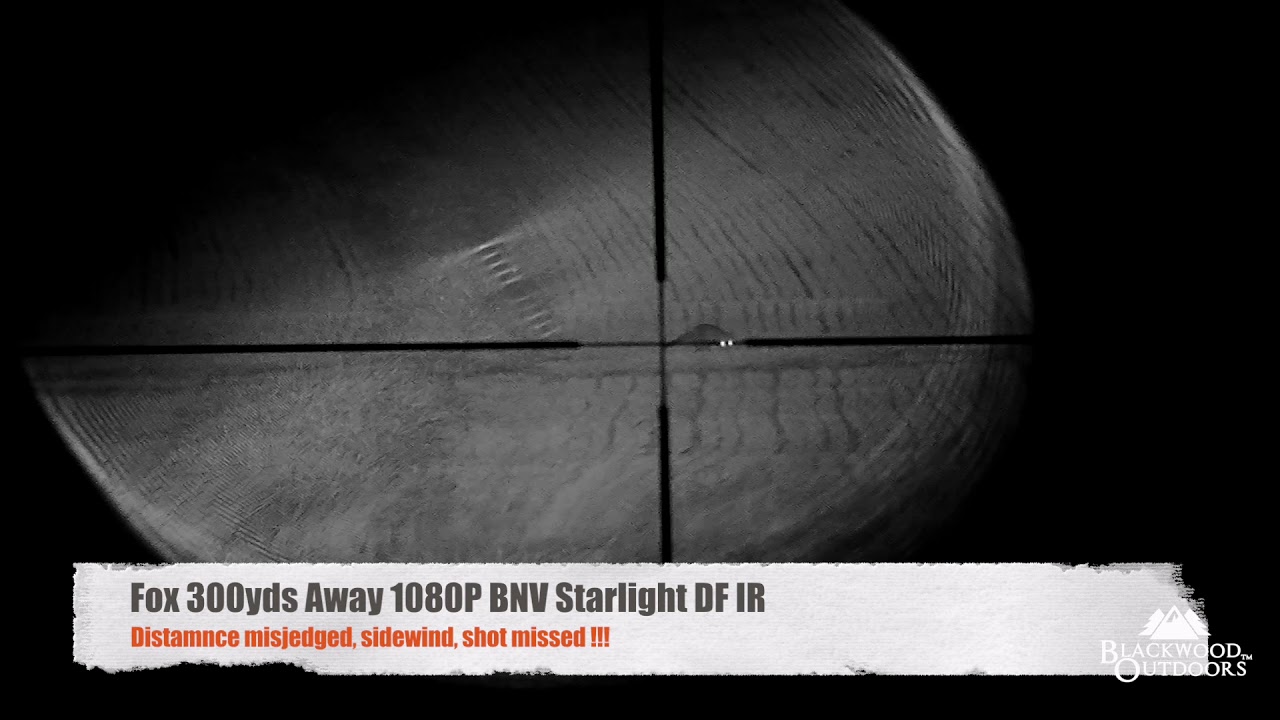 1080P Black Night Vision - Fox Shooting