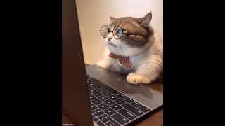 Writing Thesis Teaser