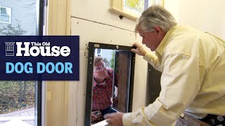 How to Install a Dog Door for a Large Dog | This Old House