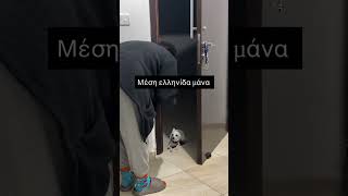Μέση ελληνίδα μάνα 😅 #κατοικιδια