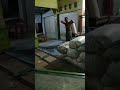 Kuli Angkut Gempal 🚚