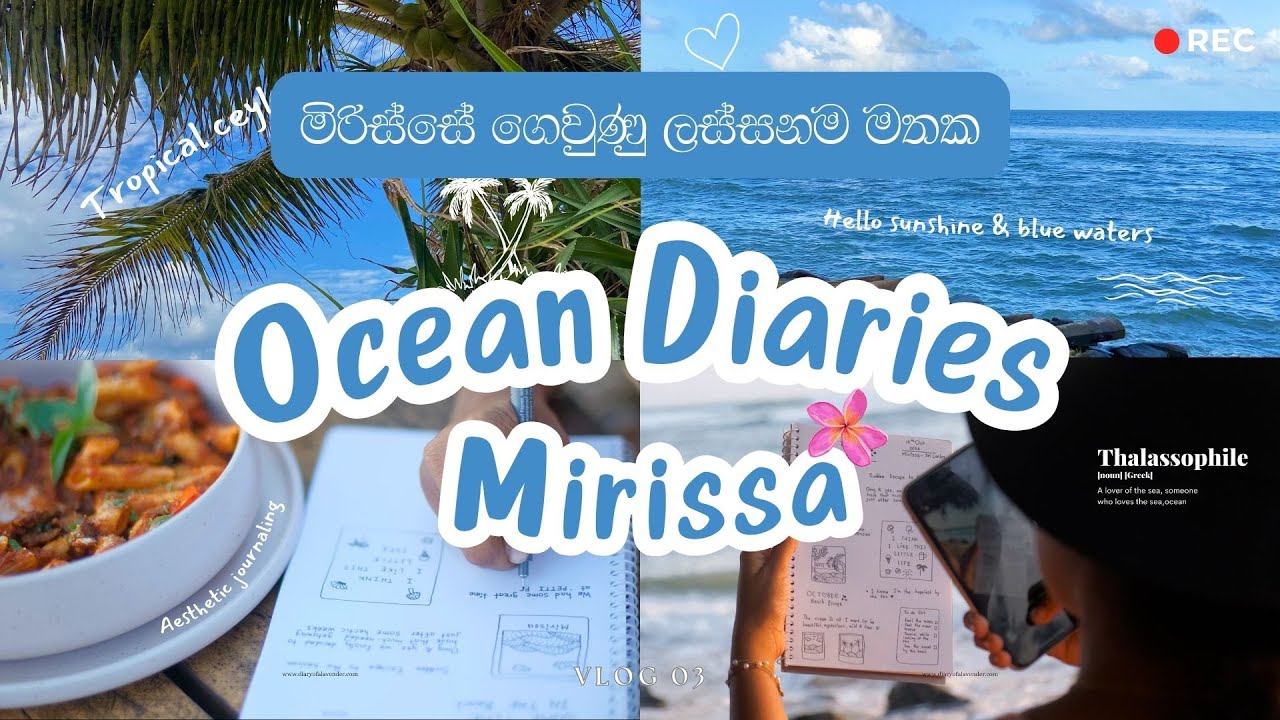 මුහුදු වෙරළයි - හවස් වරුවයි 🌊 | Aesthetic beach vlog - Mirissa | Journaling  | ලැවෙන්ඩර් Lavender 📓