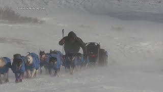 Famous Jessie Holmes chases back-to-back Iditarod title, joining rare company in race history Profile