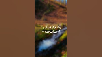 #وترى الأرض هامدة فإذا أنزلنا عليها الماء #سورة الحج #ياسر الدوسري#اكتب_شي_تؤجر_عليه#قرآن