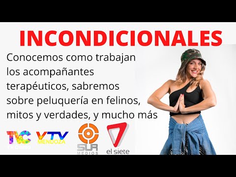Incondicinales 12 de febrero